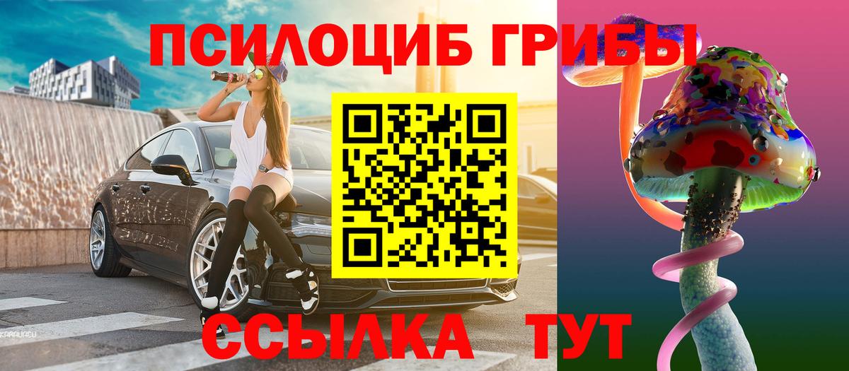 Галлюциногенные грибы Psilocybe Алексеевка