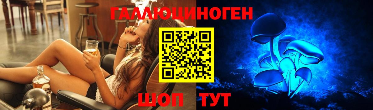 Алексеевка  Галлюциногенные грибы ЛСД  Вход с VPN 